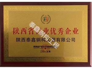 銅川陜西省行業(yè)優(yōu).秀企業(yè)