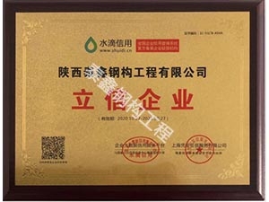 西安立信企業