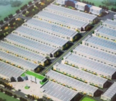 銅川泰鑫鋼結構工程—構建美好生活！